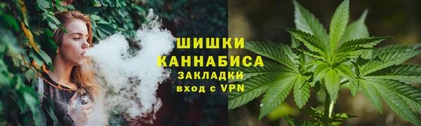 стафф Богданович