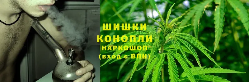 как найти наркотики  Тюмень  Конопля OG Kush 